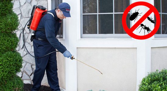 Ferizli Dezenfeksiyon böcek ilaçlama ve haşere kontrolü — ilaclama-tr.com